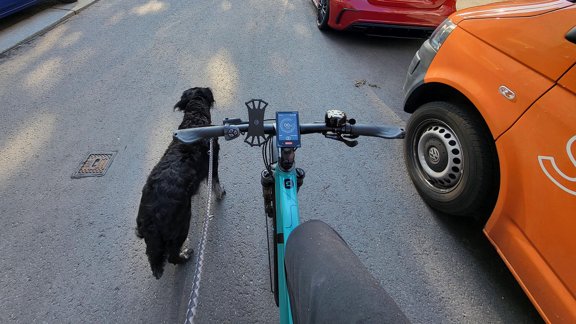 Radfahren mit Hund in Chemnitz